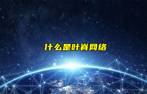 【物聯科普】什么是葉脊網絡？